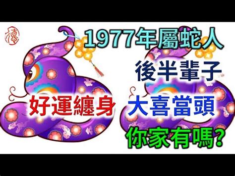 1977年屬蛇|生肖蛇: 性格，愛情，2024運勢，生肖1989，2001，2013